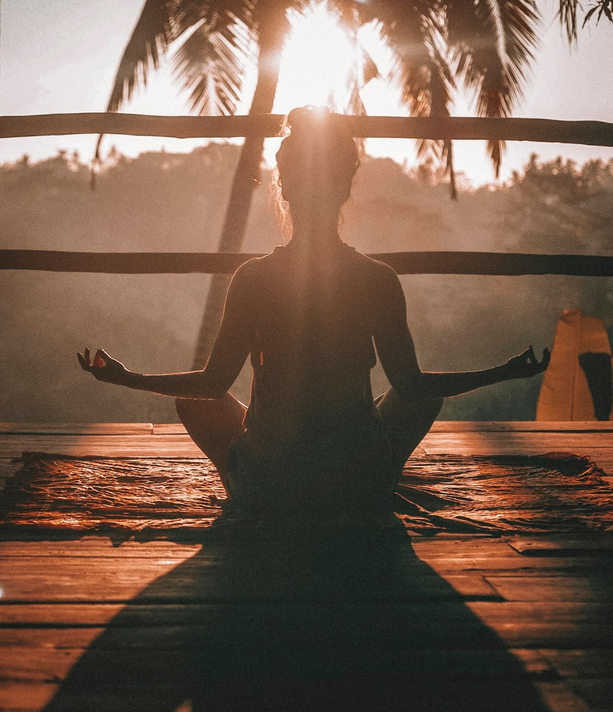 Wellness and Preventive Health in Health and Medical Tourism